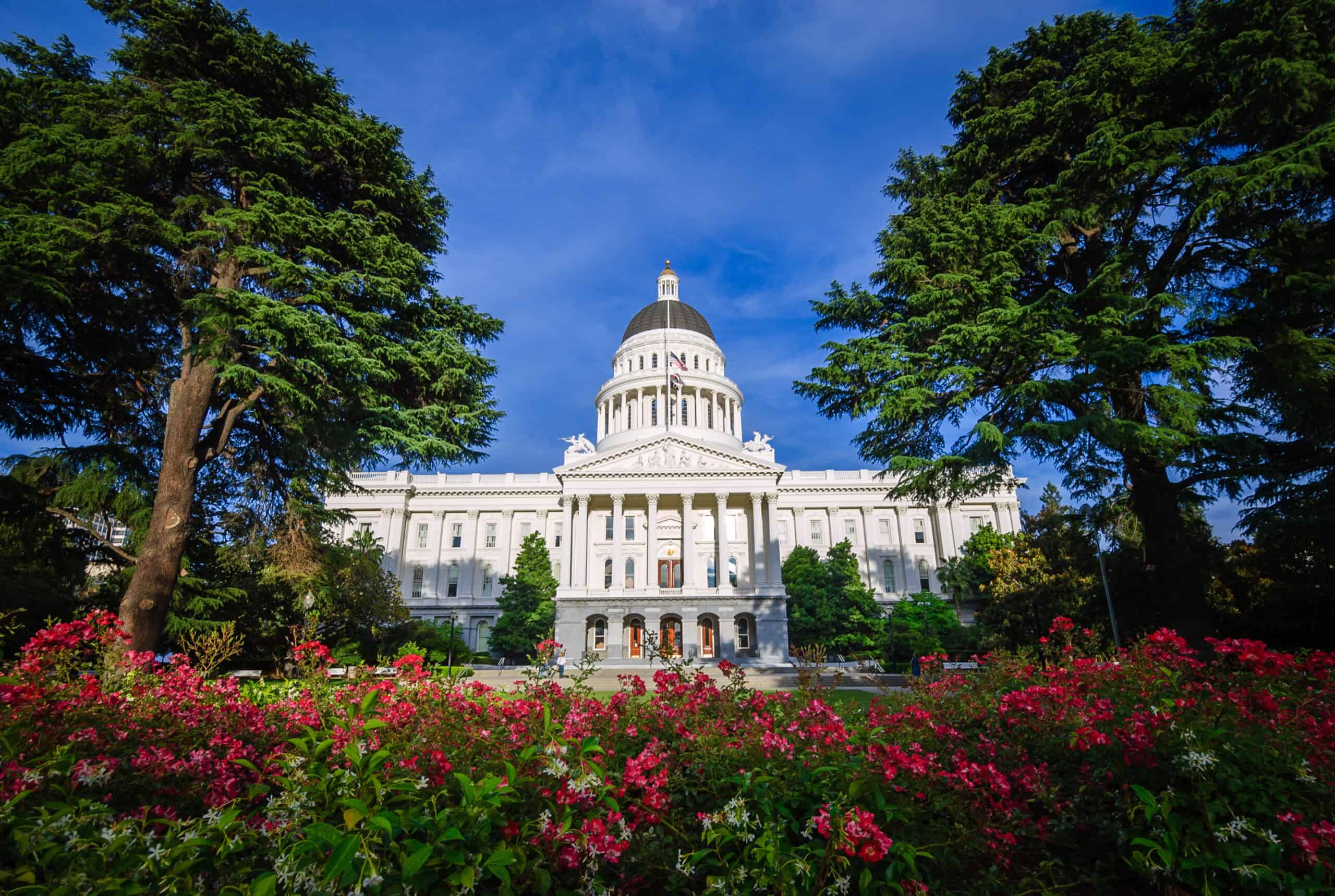 California State Capitol building in Sacramento framed by trees and vibrant red flowers.
